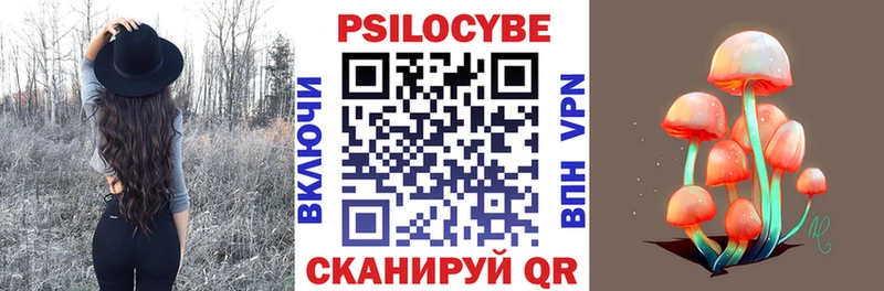 Галлюциногенные грибы мицелий  Купить  Западная Двина 